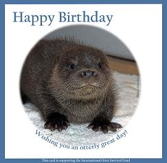 Birthday e-Card